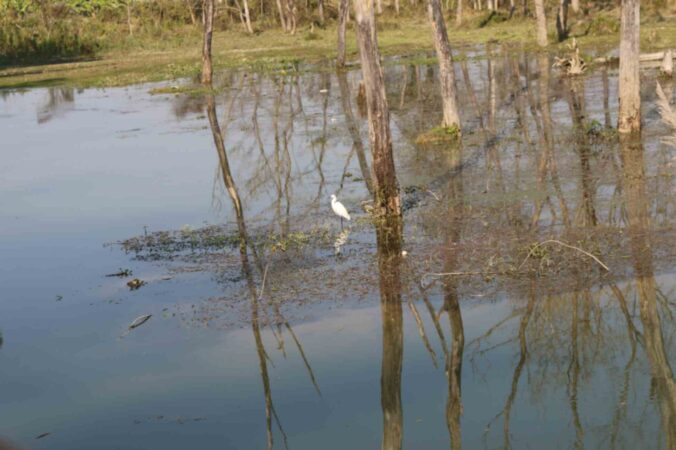 Kathmandu-Pokhara-Chitwan4